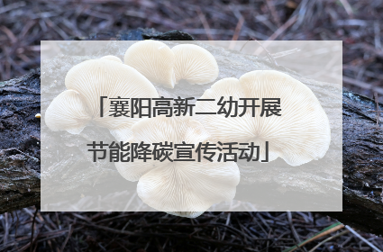 襄阳高新二幼开展节能降碳宣传活动